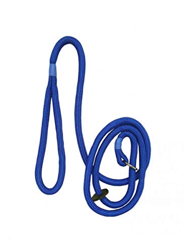 Bisley Dog Slip Leads