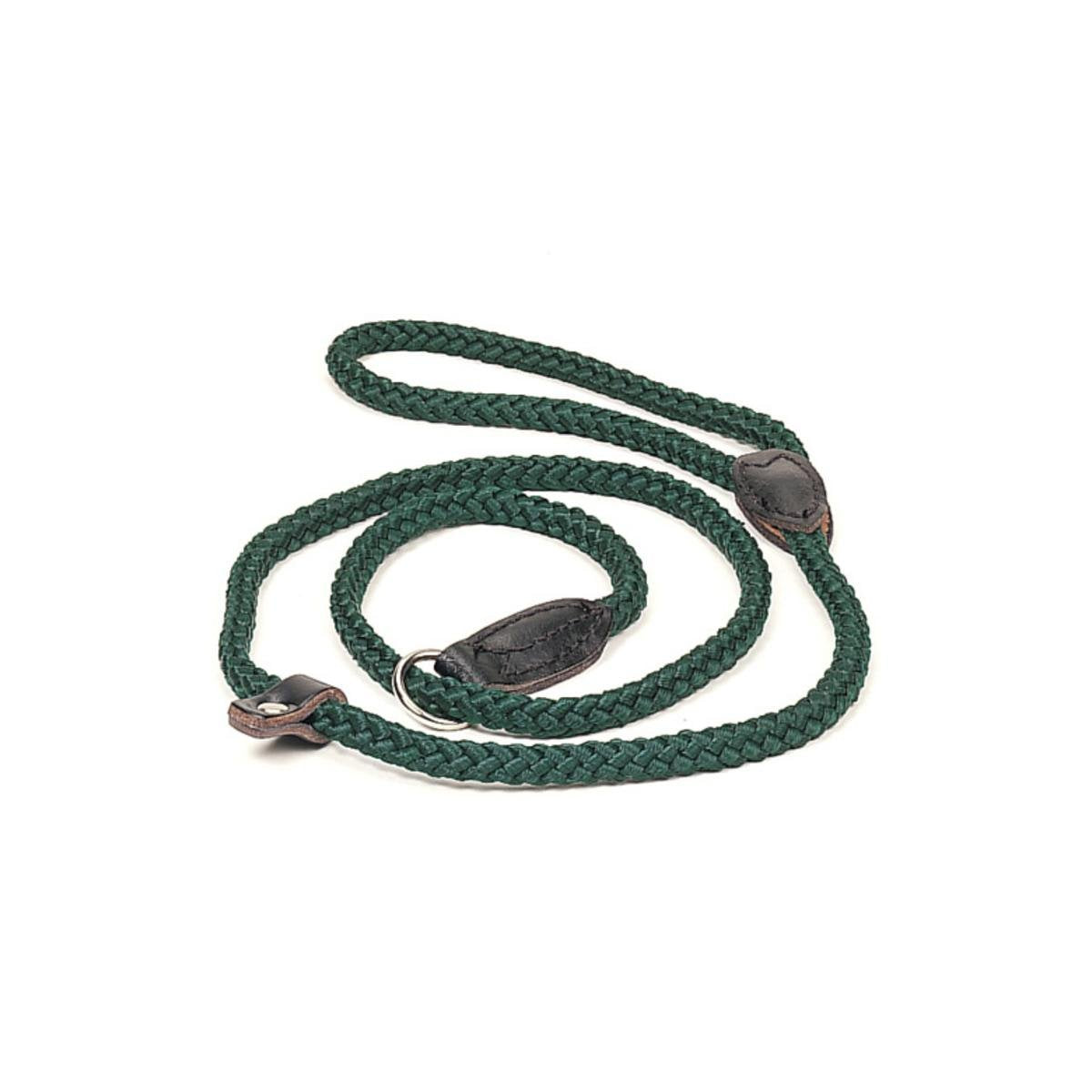 Napier Dog Lead Field Trial (Green)