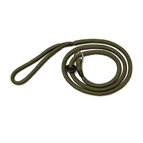Bisley Dog Slip Leads