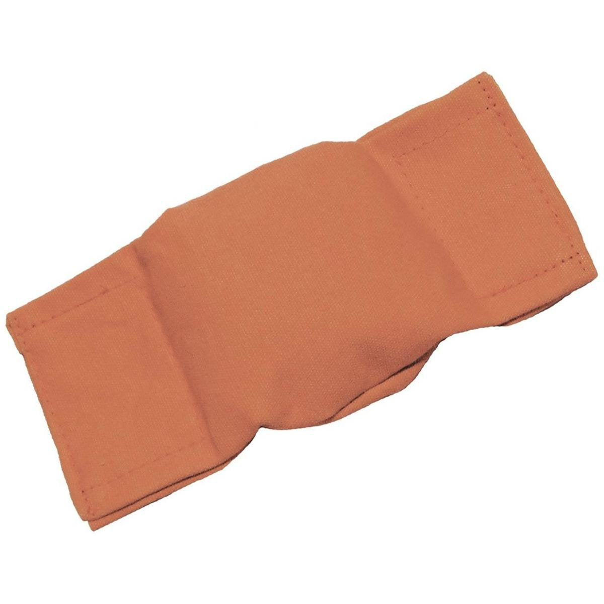 Bisley Beanbag Dog Puppy Dummy Orange