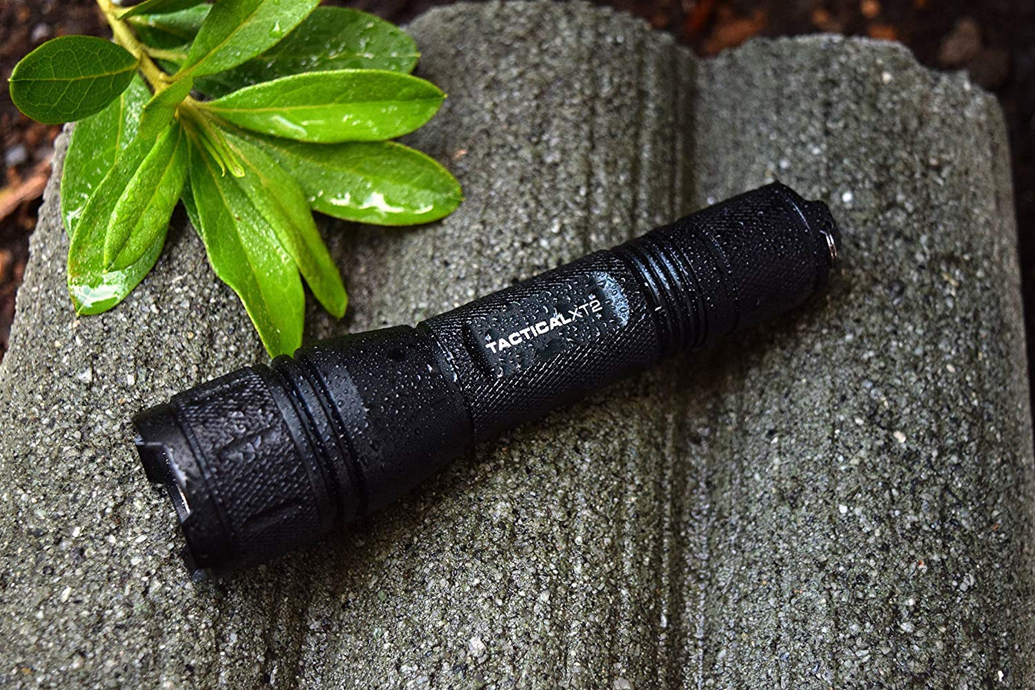 Walther 3.7034 Tactical XT2 Torch One size